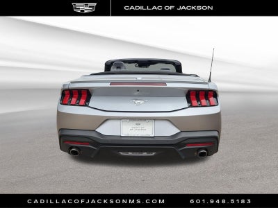 2025 Ford Mustang EcoBoost