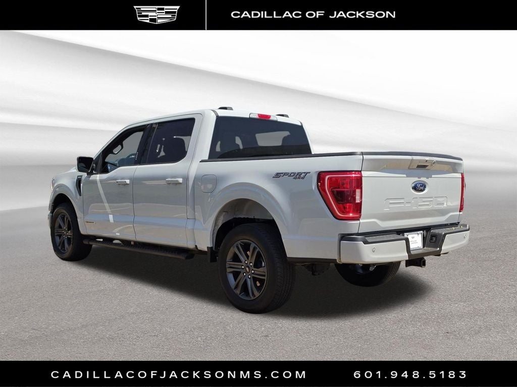 2023 Ford F-150 XL