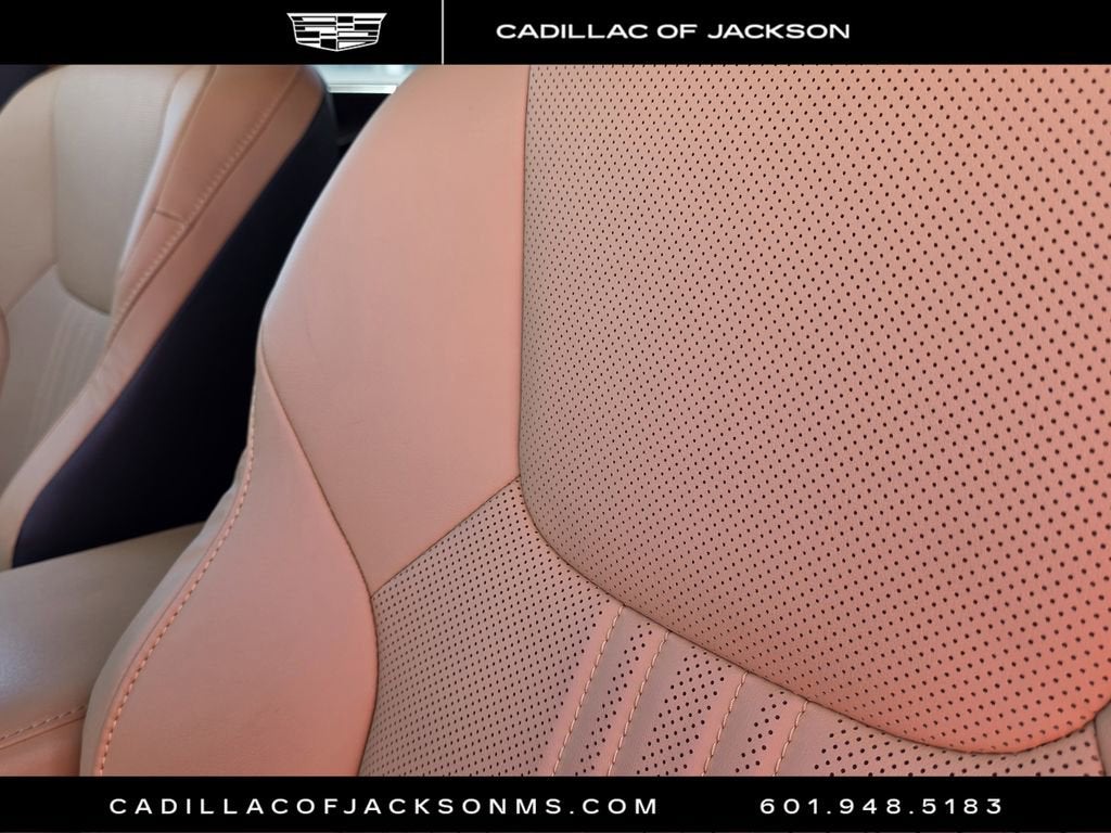 2023 Lexus NX NX 350 Premium