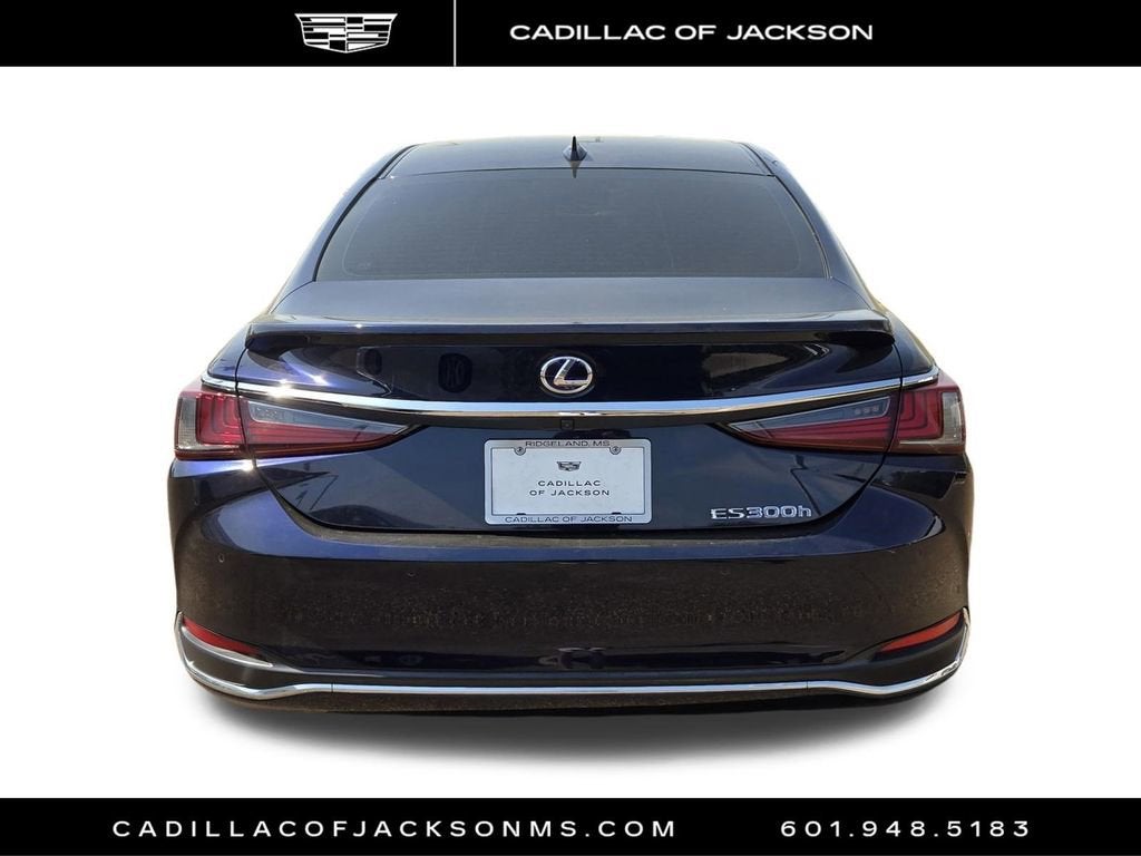 2021 Lexus ES ES 300h